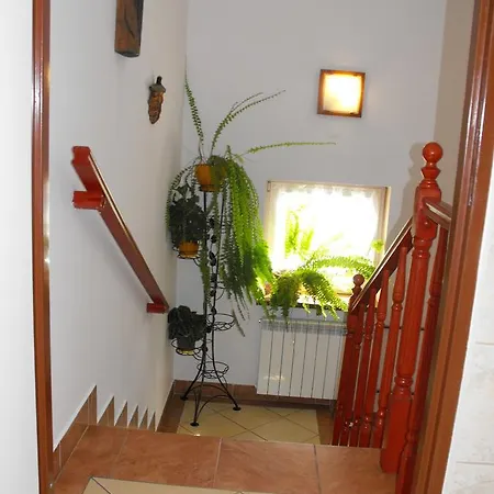 Noclegi U Brody Hoczew Exterior foto